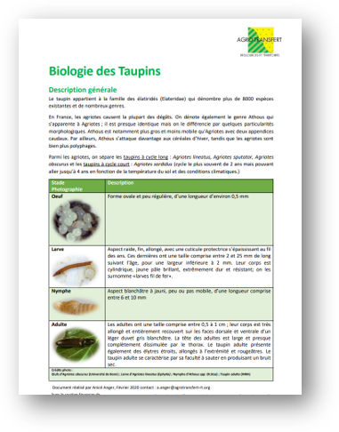Fiche biol Taupin