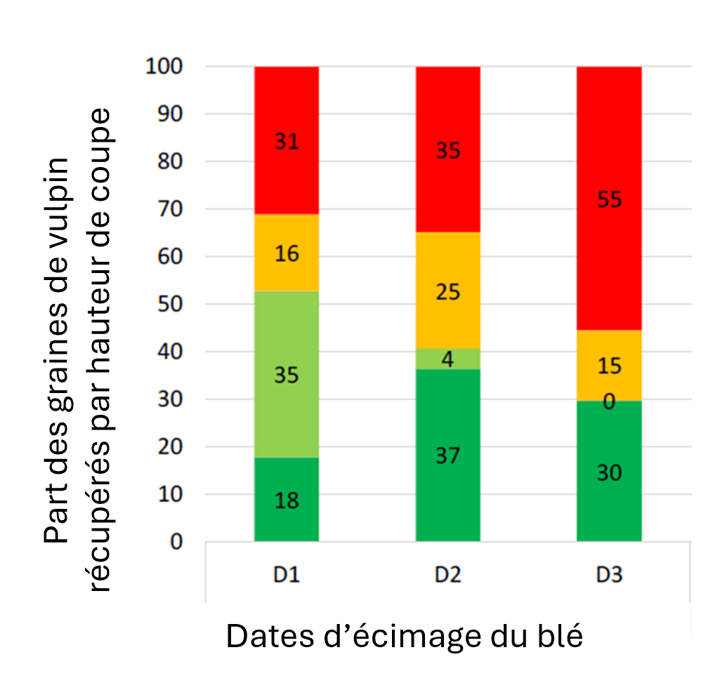 Résultats 1ere année d’expérimentation. Répartition des graines de vulpins selon l'horizon de coupe et la date. Source : Cordeau et al. 2025