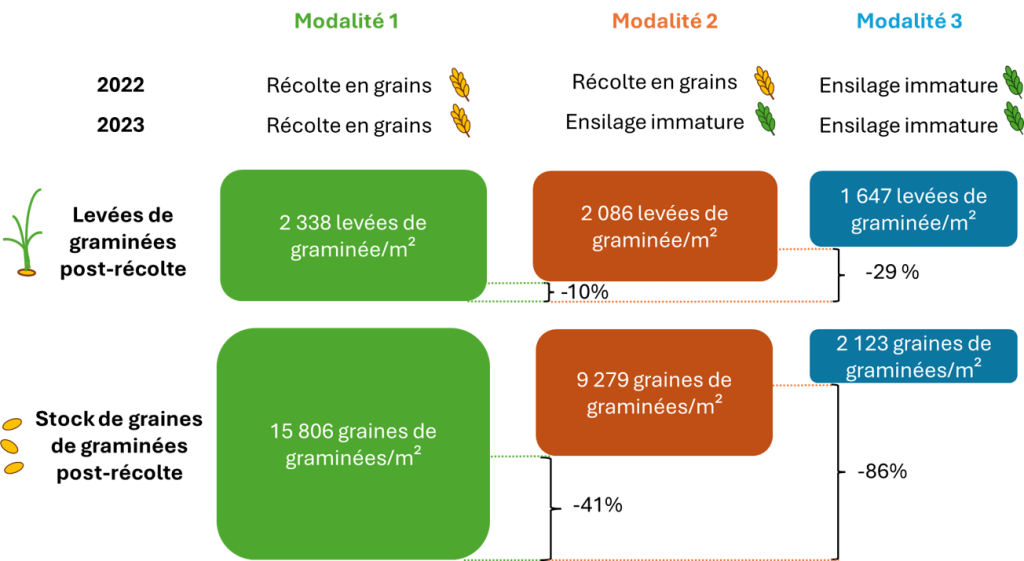Résultats expérimentaux d'ensilage immature, Source Agro-transfert 2024.